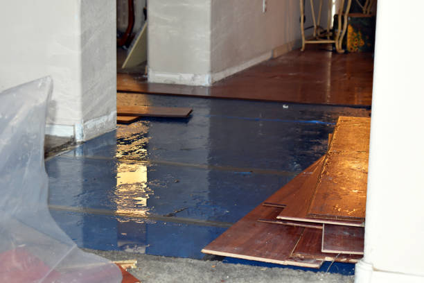 Professional Emergency Water Damage technician working in Falls City, TX
